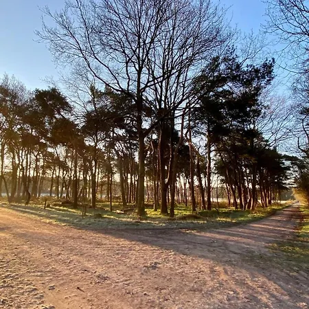 Апартаменты With Balcony And Full Kitchen Near Hotspot *