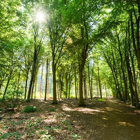 Daire With Balcony And Full Kitchen Near Hotspot