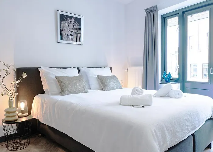 With Balcony And Full Kitchen Near Hotspot Appartement Tilburg