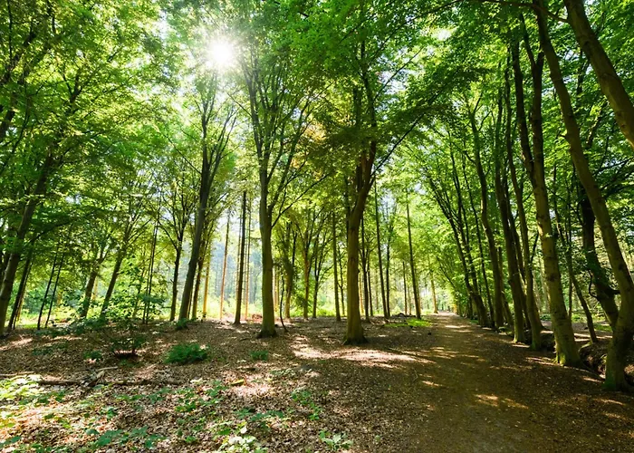 アパート With Balcony And Full Kitchen Near Hotspot